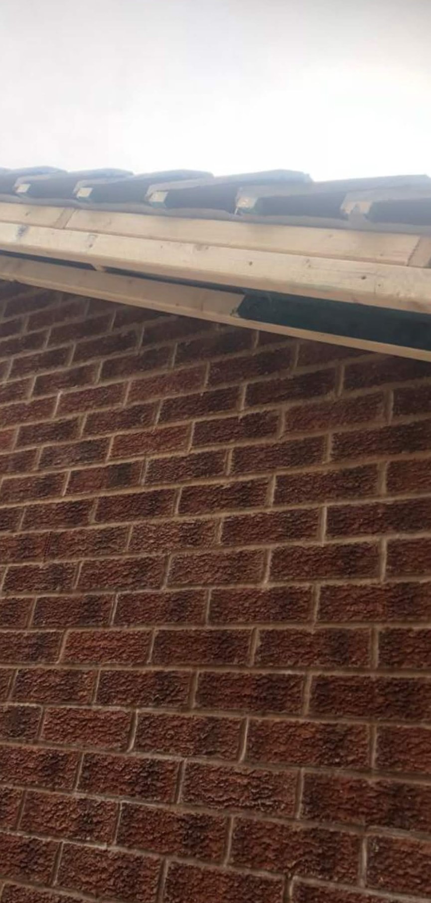 Fascias and soffits replaced before work — Northwich area